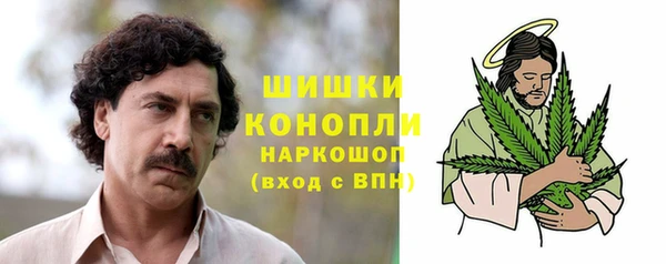 таблы Ельня
