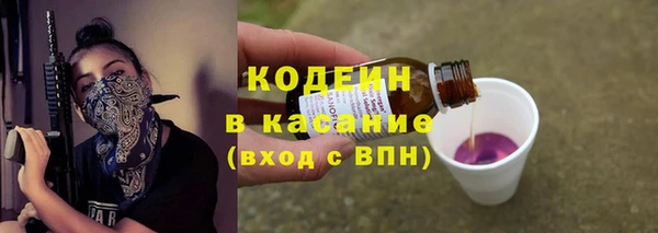 дживик Елабуга
