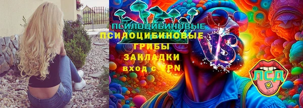 таблы Ельня