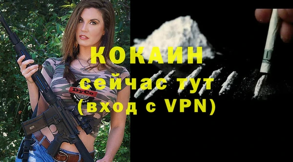 ALPHA PVP Елизово