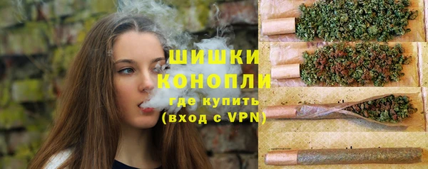 дживик Елабуга