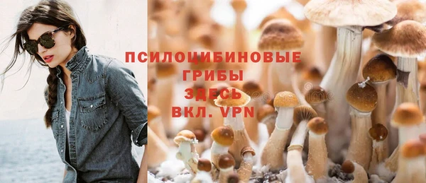 таблы Ельня