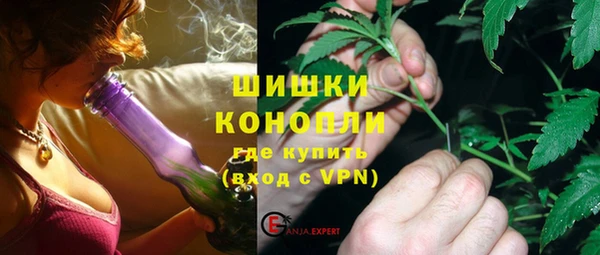 дживик Елабуга
