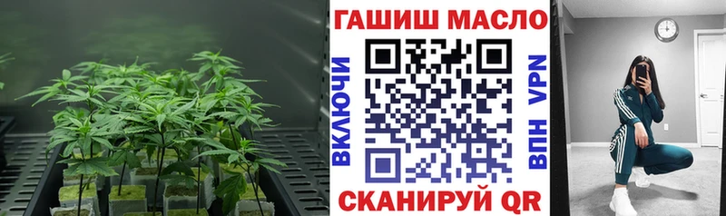 ТГК THC oil  Купить где  Старый Оскол 