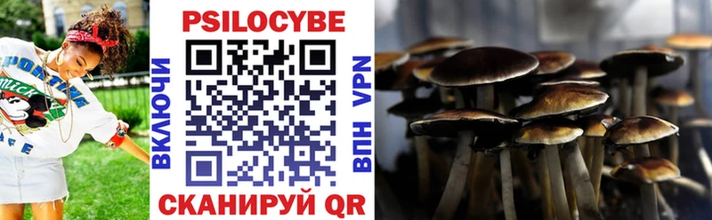 Псилоцибиновые грибы мухоморы  Купить закладки  Старый Оскол 